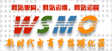 WSMO網站服務