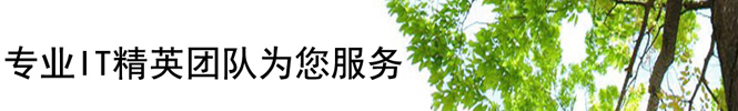 IT外包服務(wù)