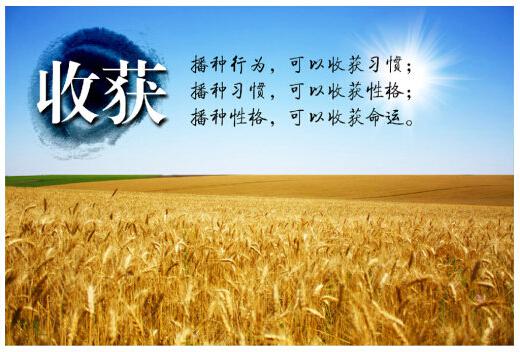 圖片7.jpg